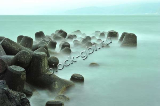 Тетрапод Т-20